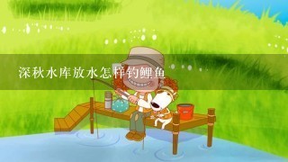 深秋水库放水怎样钓鲤鱼