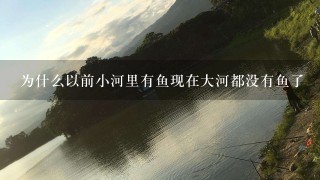 为什么以前小河里有鱼现在大河都没有鱼了