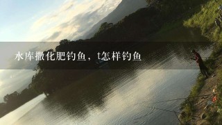 水库撒化肥钓鱼，t怎样钓鱼