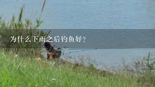 为什么下雨之后钓鱼好？