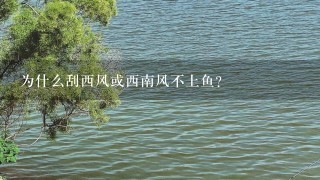 为什么刮西风或西南风不上鱼？