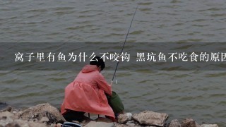 窝子里有鱼为什么不咬钩 黑坑鱼不吃食的原因是什么？