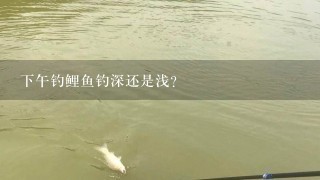 下午钓鲤鱼钓深还是浅？