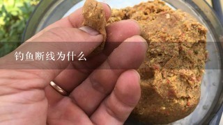 钓鱼断线为什么