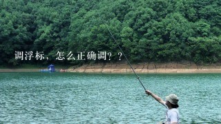 调浮标，怎么正确调？？