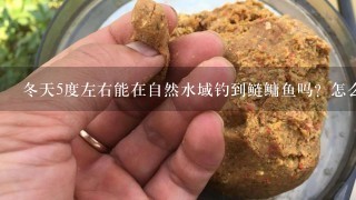 冬天5度左右能在自然水域钓到鲢鳙鱼吗？怎么钓？