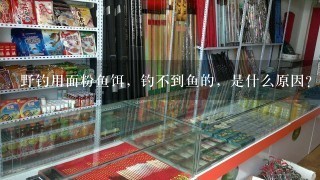 野钓用面粉鱼饵，钓不到鱼的，是什么原因？