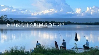 秋季夜钓什么时间段鱼口好？