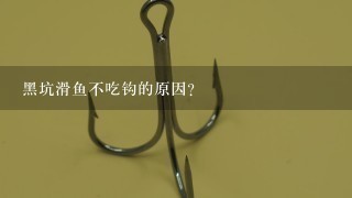 黑坑滑鱼不吃钩的原因？