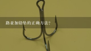 路亚加铅坠的正确方法？