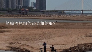 鲢鳙漂尾细的还是粗的好？