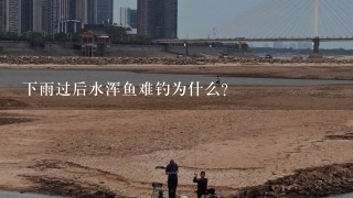 下雨过后水浑鱼难钓为什么?