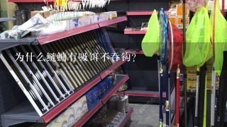 为什么鲢鳙有吸饵不吞钩？