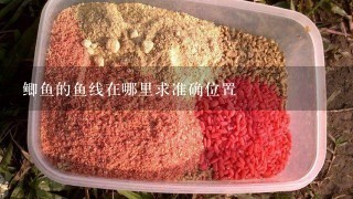 鲫鱼的鱼线在哪里求准确位置