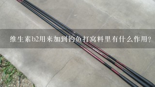 维生素b2用来加到钓鱼打窝料里有什么作用？