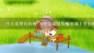 什么是禁钓鱼种 为什么说鲢鱼鳙鱼属于禁钓鱼种 还有