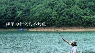 海竿为什么钓不到鱼