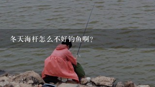 冬天海杆怎么不好钓鱼啊？