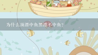 为什么顶漂中鱼黑漂不中鱼？