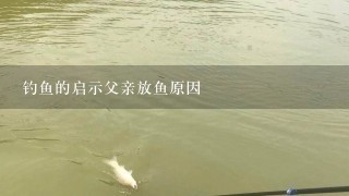 钓鱼的启示父亲放鱼原因