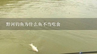 野河钓鱼为什么鱼不当吃食