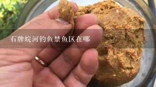 石牌皖河钓鱼禁鱼区在哪