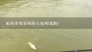 蚯蚓养殖如何防止蚯蚓逃跑？