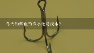 冬天钓鲫鱼钓深水还是浅水?