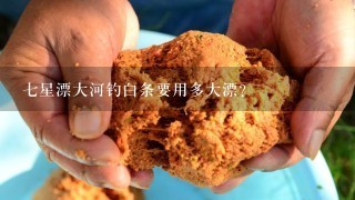 7星漂大河钓白条要用多大漂？