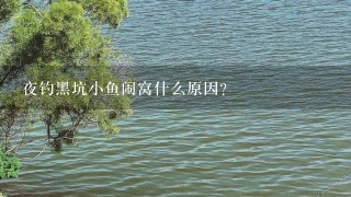 夜钓黑坑小鱼闹窝什么原因？