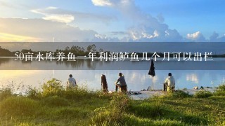 50亩水库养鱼1年利润鲈鱼几个月可以出栏