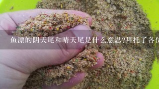 鱼漂的阴天尾和晴天尾是什么意思?拜托了各位 谢谢