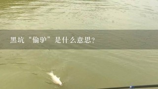 黑坑“偷驴”是什么意思？