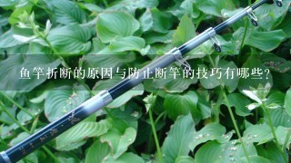 鱼竿折断的原因与防止断竿的技巧有哪些？