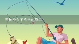 黑坑滑鱼不吃钩的原因？