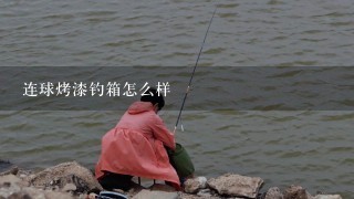 连球烤漆钓箱怎么样