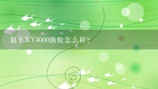 狼王XY4000渔轮怎么样？