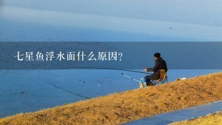 7星鱼浮水面什么原因？