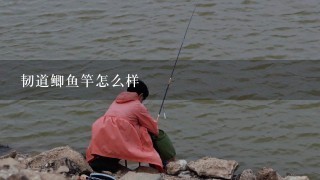 韧道鲫鱼竿怎么样