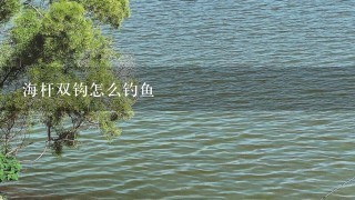 海杆双钩怎么钓鱼