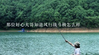 那位好心大哥知道风行战斗极怎么样