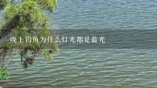 晚上钓鱼为什么灯光都是蓝光