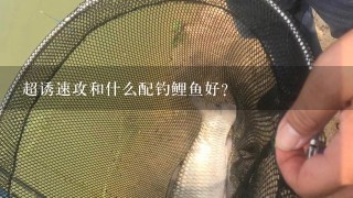 超诱速攻和什么配钓鲤鱼好？