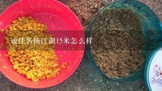 迪佳名扬江湖15米怎么样