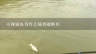 可视锚鱼为什么锚到就断杆