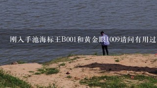 刚入手池海标王B001和黄金眼1009请问有用过的吗？怎么调漂？