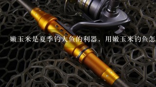 嫩玉米是夏季钓大鱼的利器，用嫩玉米钓鱼怎么钓呢？