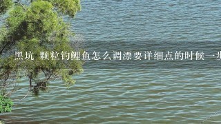 黑坑 颗粒钓鲤鱼怎么调漂要详细点的时候1步1步那