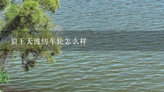 狼王天波纺车轮怎么样