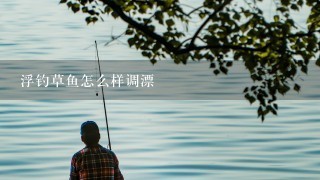 浮钓草鱼怎么样调漂